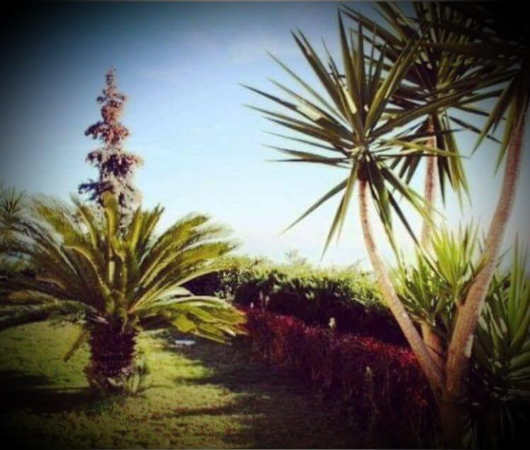 B&B Villa Floriana 托尔托雷托 外观 照片